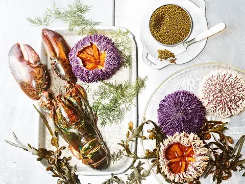 Hummer mit mariniertem Seeigel, Spinatcrêpes und Kaviar